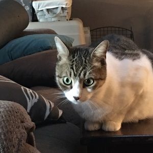 Meet your Posher, Christine